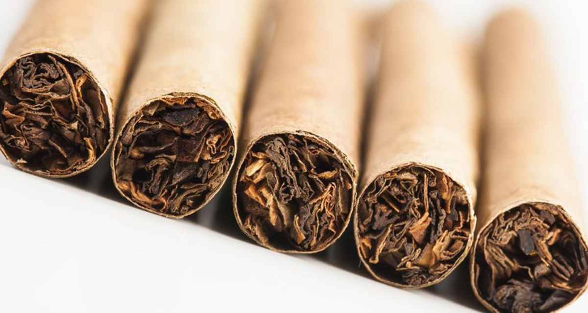 Zigarillos & Zigarren | Sortiment Zigaretten Glasschröder